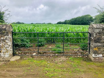 Kilworth Gate, to Field of Maze, Eoin O'Keeffe Architects