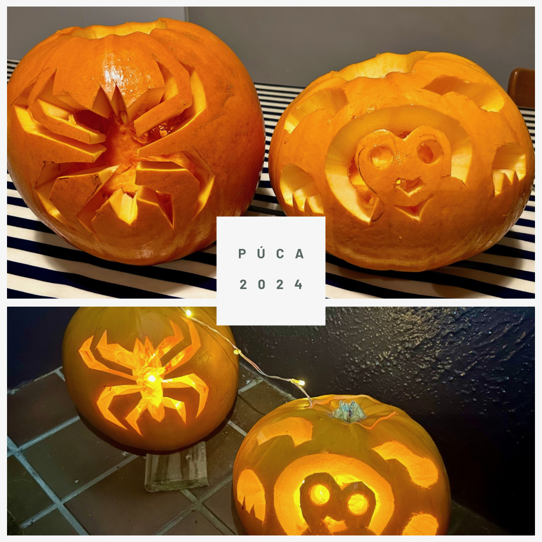 Pumkins | Púca | 2024 Spiderman + Puppy | Eoin O’Keeffe Architects